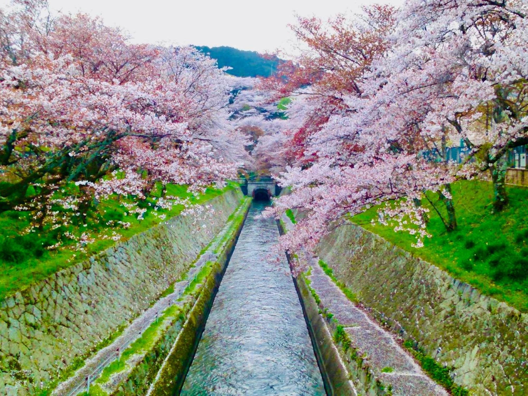 Koke Musu Inn Otsu Buitenkant foto